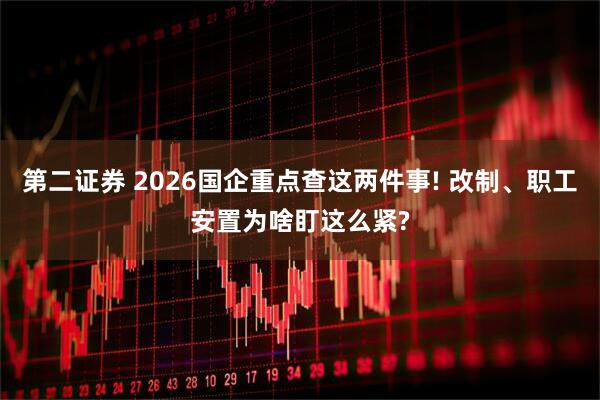第二证券 2026国企重点查这两件事! 改制、职工安置为啥盯这么紧?